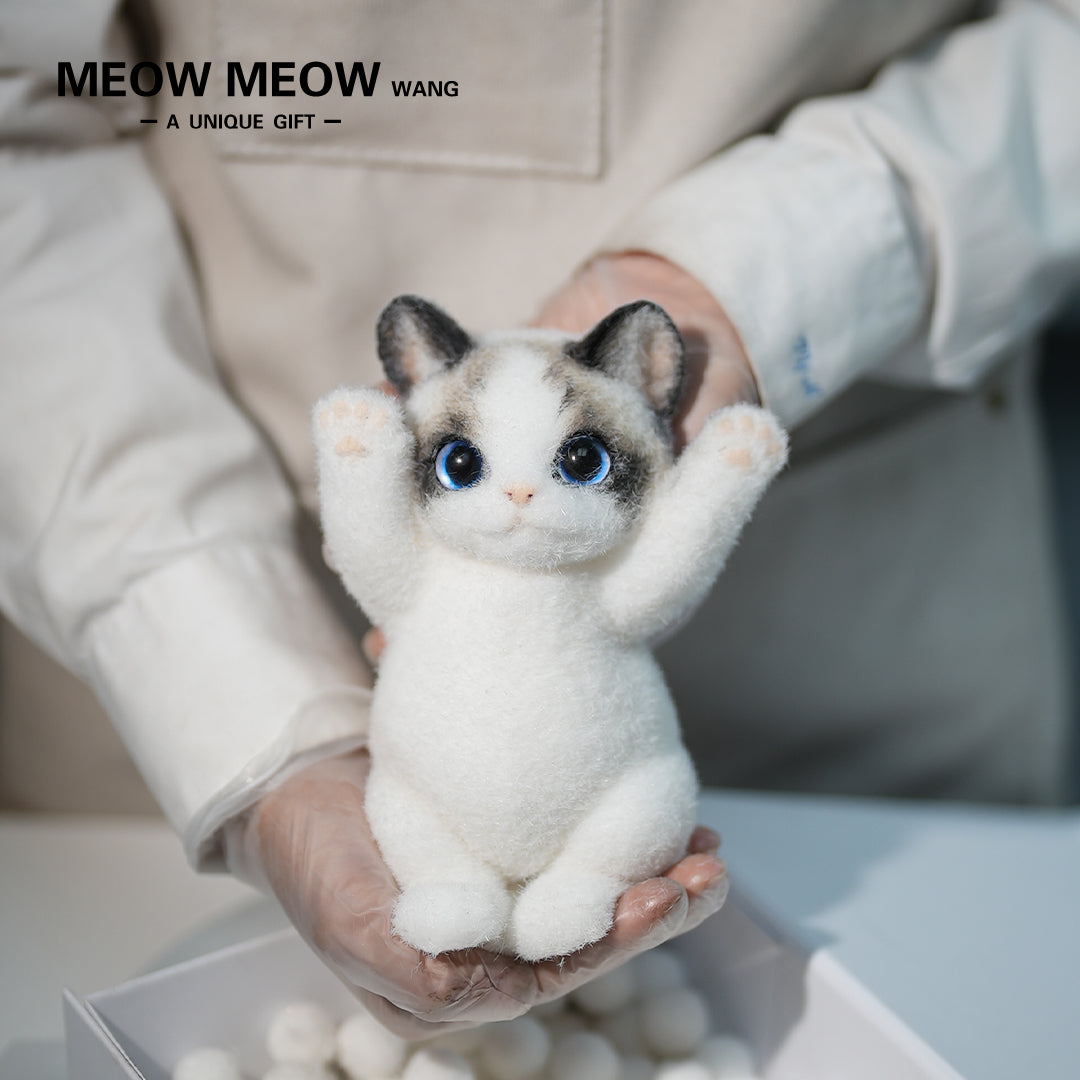 B17:Blue-Eyed Cute Doll Cat Raising Its Paw