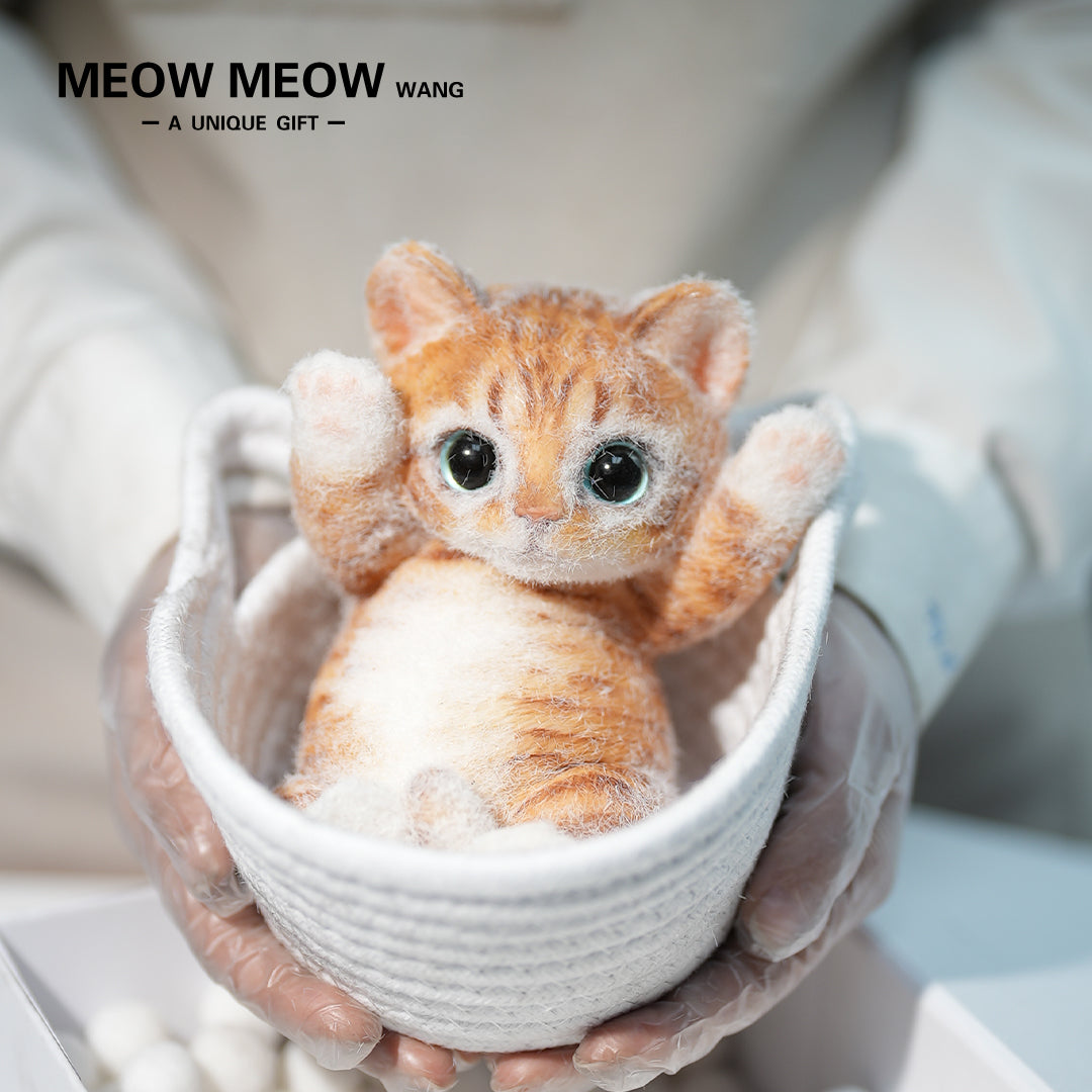 B12:Rare Blue-Eyed Ginger Cat