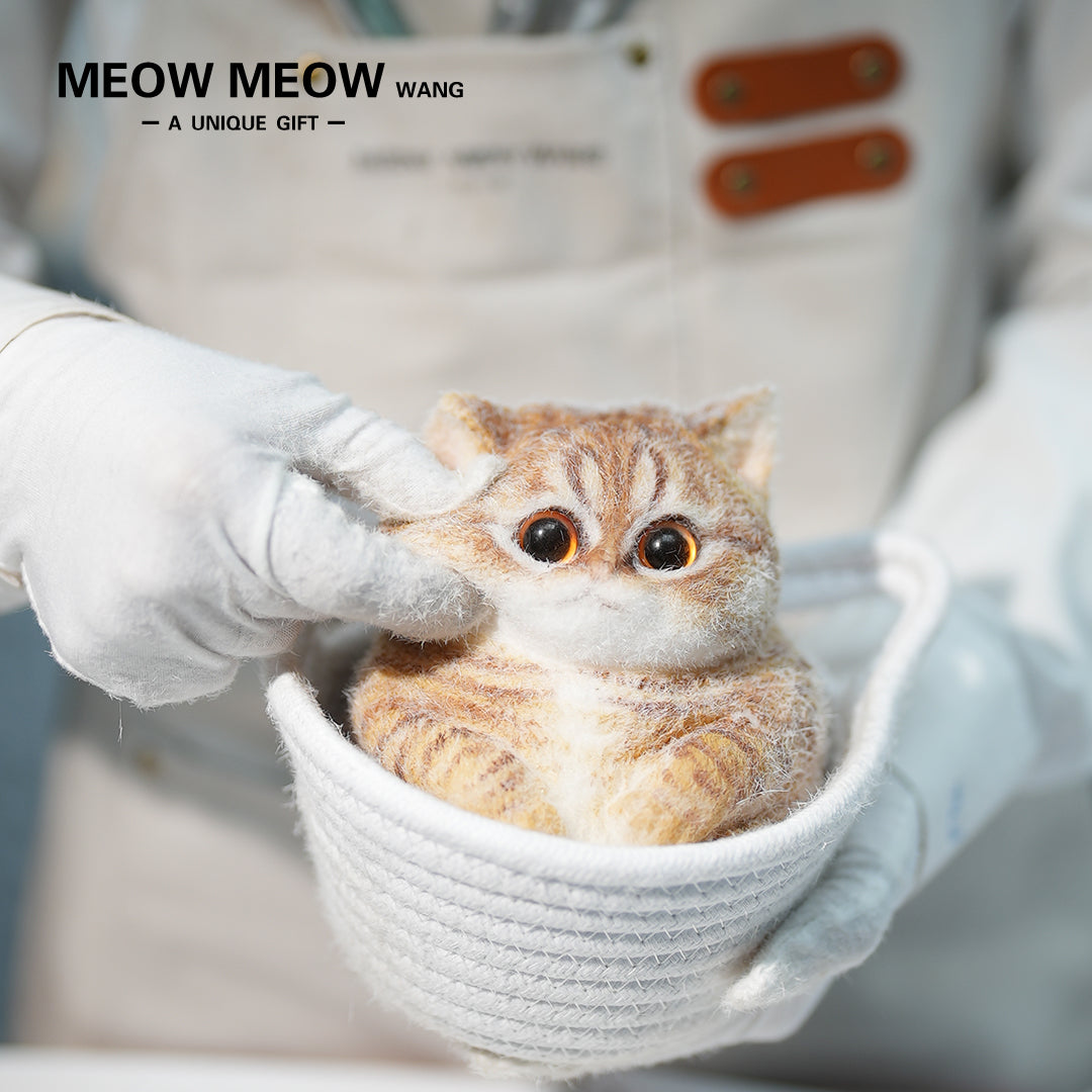 C41:Soft, Cute Chubby Orange Cat