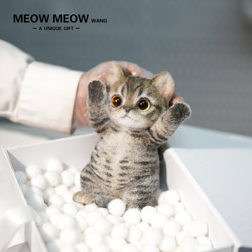 B21:A Soft Yellow-Brown Tabby Kitten