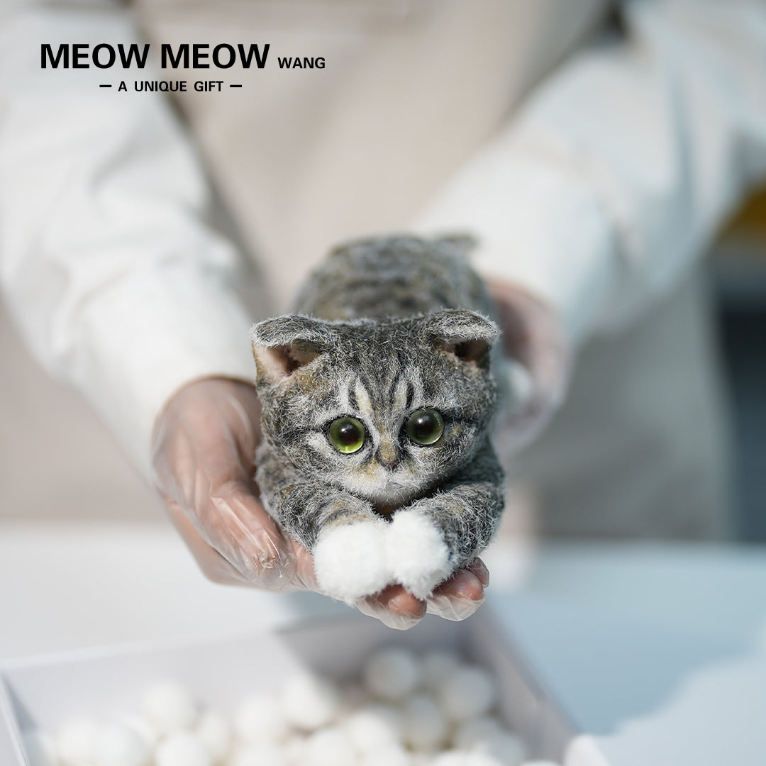 B22:A Lying Tabby Cat