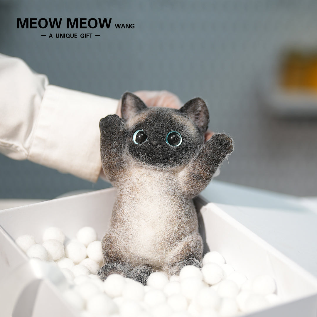 B13:Soft And Skinny Siamese Cat