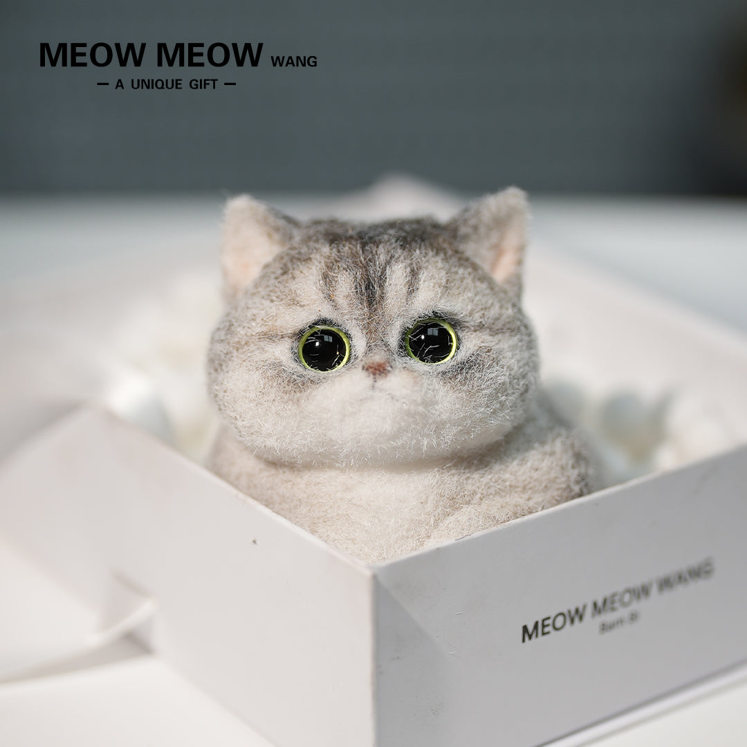 C34:Adorable Chubby Kitten In A Basket