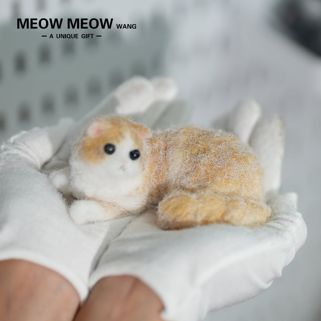 E05:Cute And Lively Orange Kitten