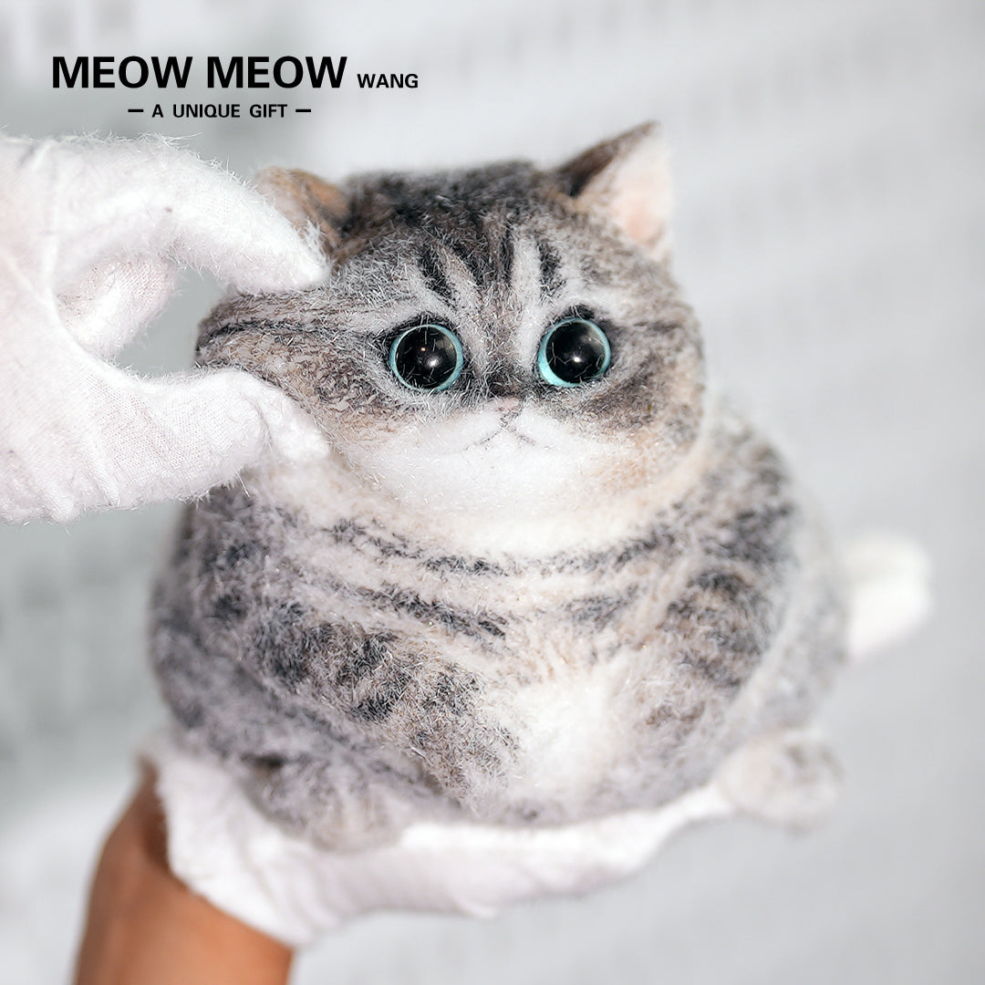 C18:Cute Chubby Black Brown Tabby Cat