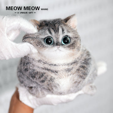 C18:Cute Chubby Black Brown Tabby Cat