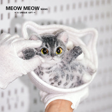 B03:Prince Gao Leng -Slim Silver Bengal Cat