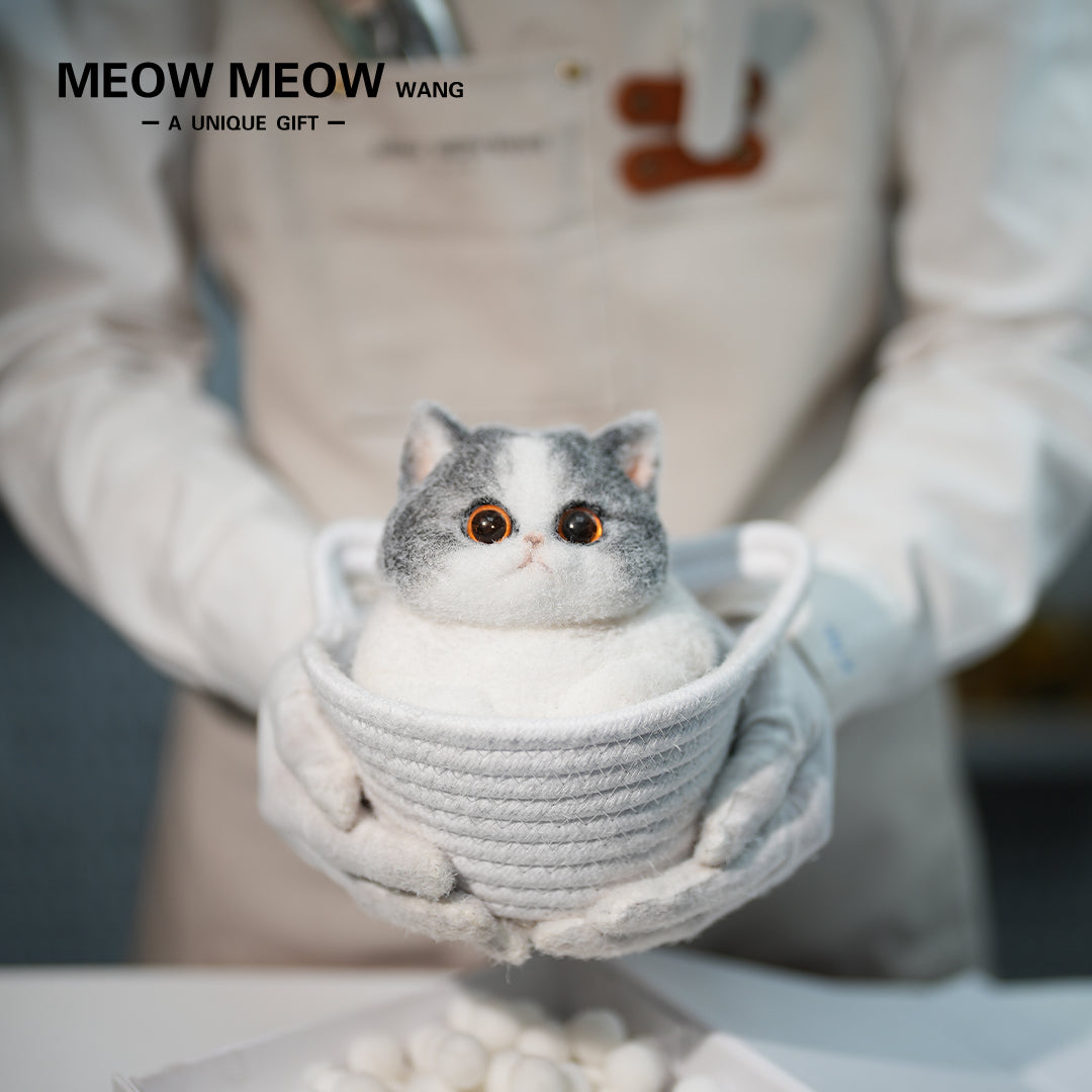 C32:Cute Blue And White Cat
