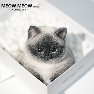 C40:Point-Coloured Siamese Cat