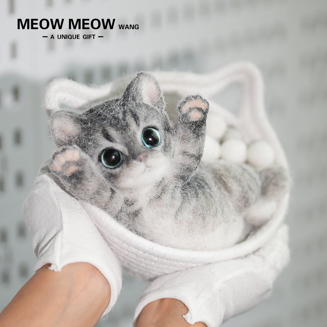 B07:Skinny Cat With Pink Paws And Blue Eyes