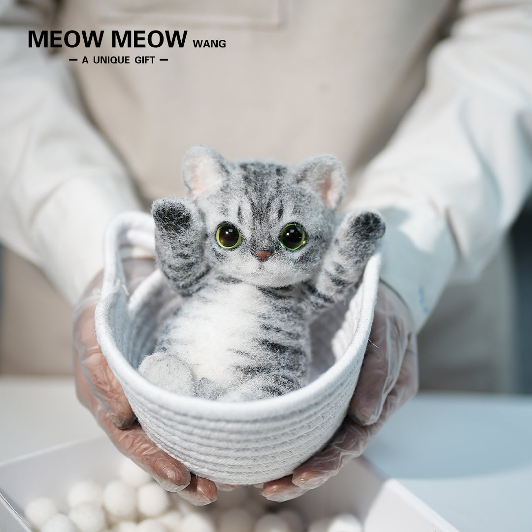 B11:A Tabby Cat With Green Eyes
