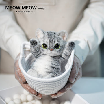 B11:A Tabby Cat With Green Eyes