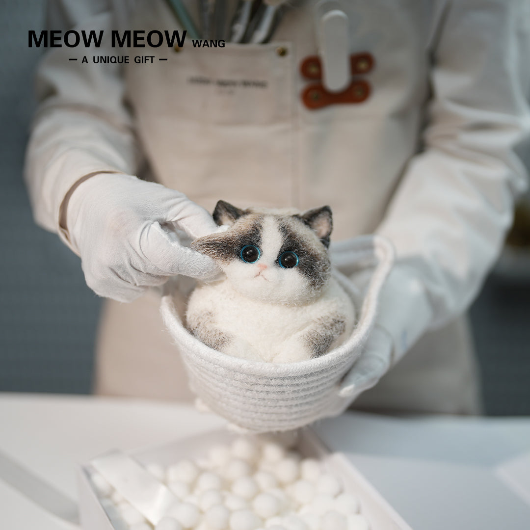 C36:Chubby Elf Ragdoll Cat