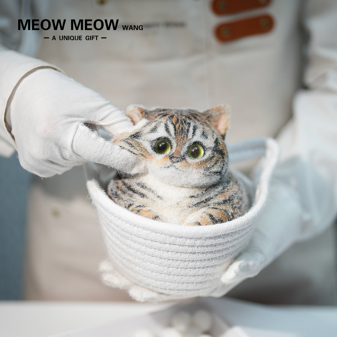 C26:Chubby Little Tiger Cat