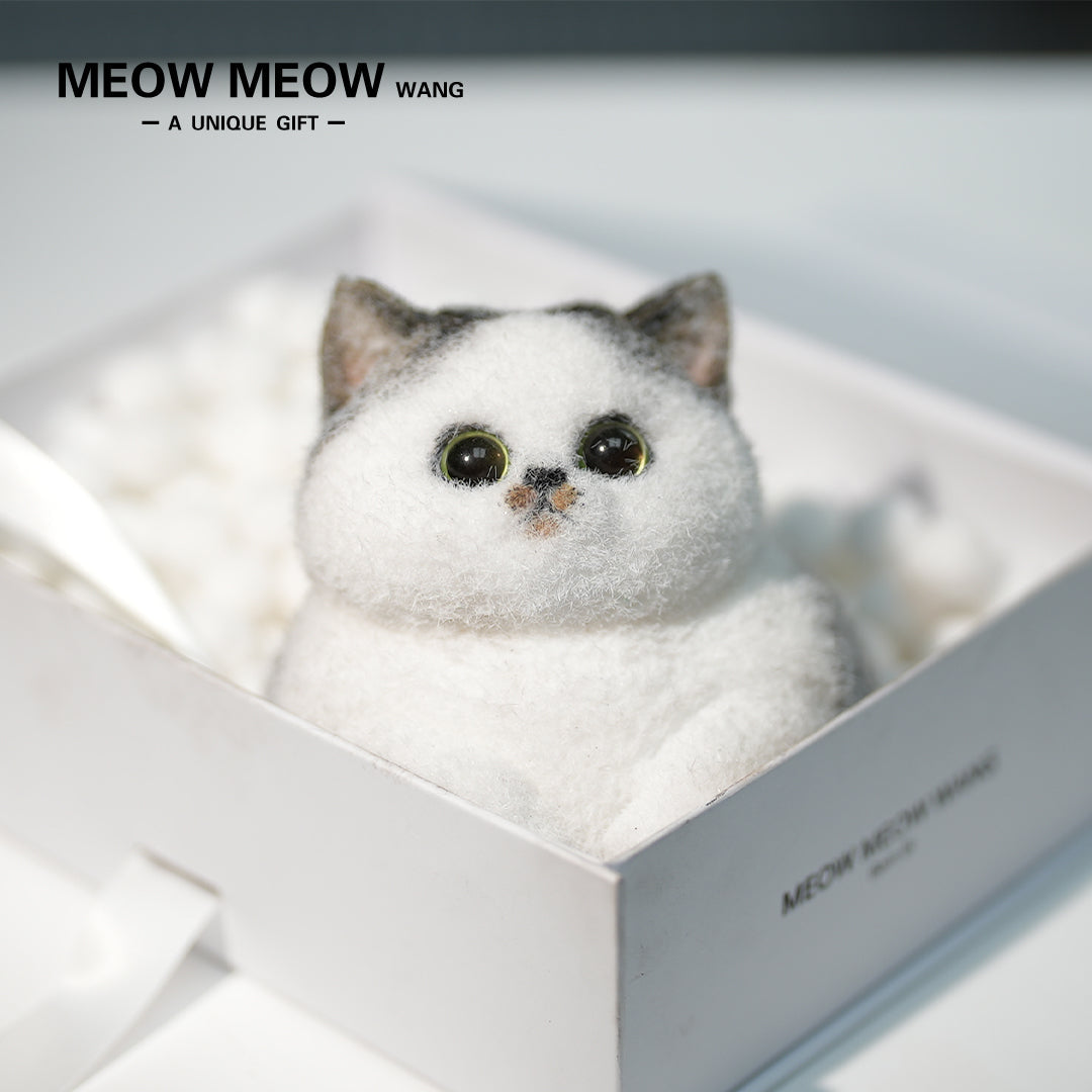 C23:A Cat With A Yellow Beard