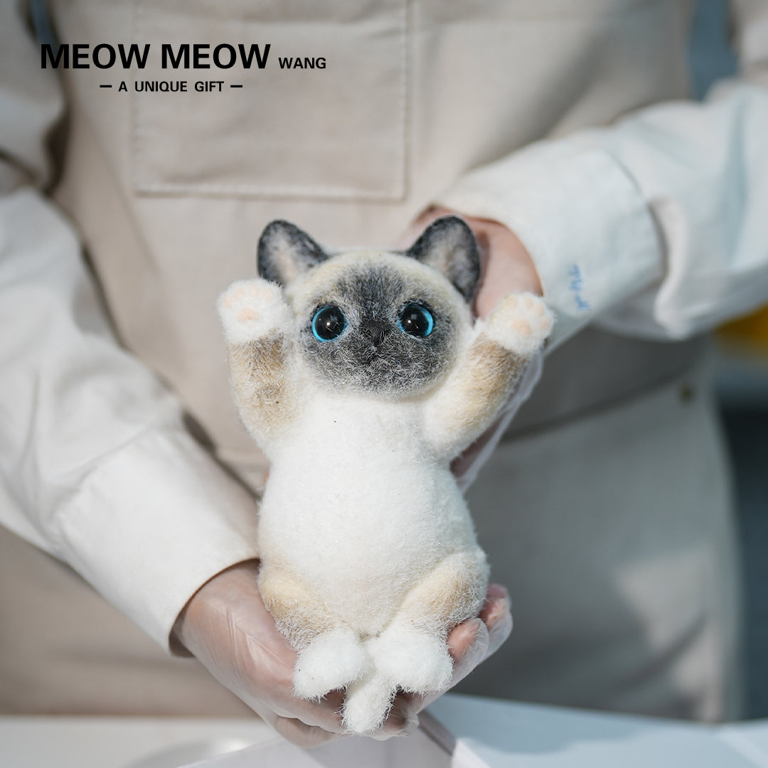 B19:Light-Coloured Siamese Kitten