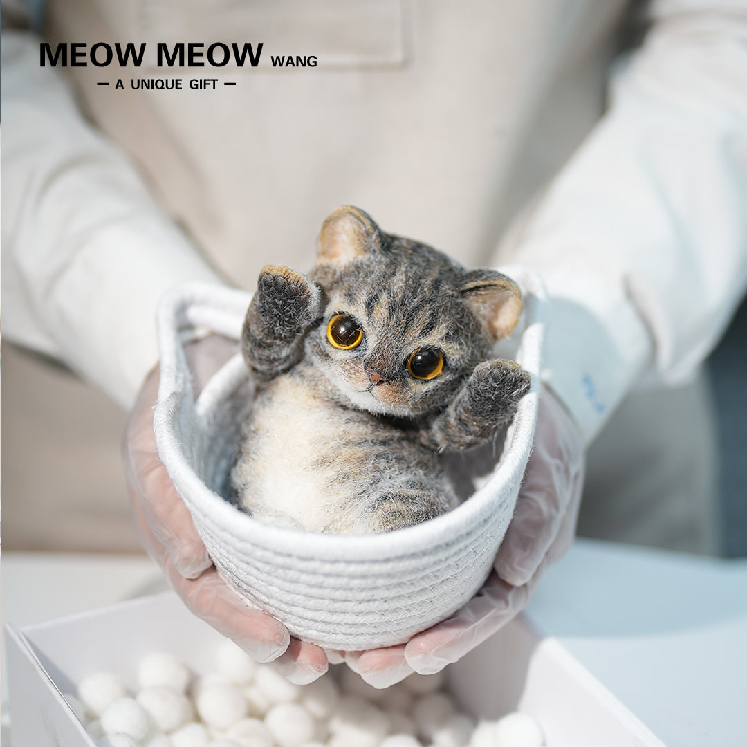 B10:A Cute Yellow-Brown Kitten