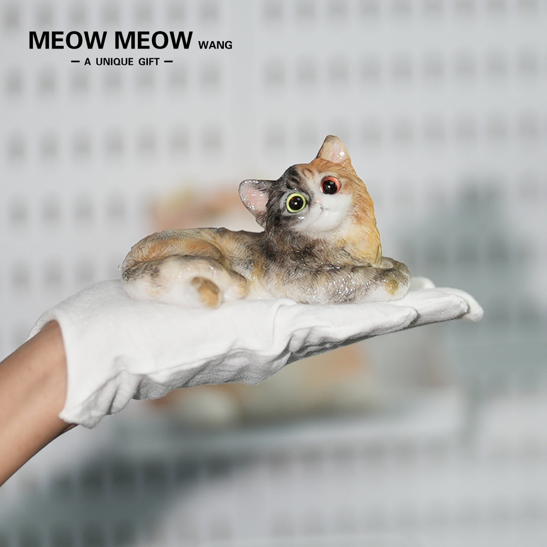 E04:Fluffy Heteromyptic Kitten