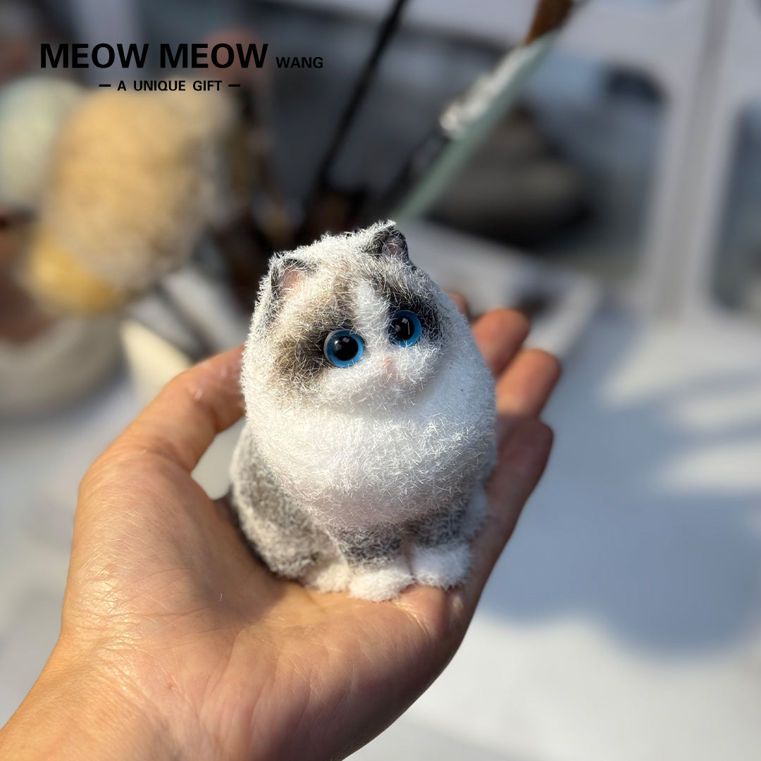 E006:Cute Miniature Ragdoll Cat