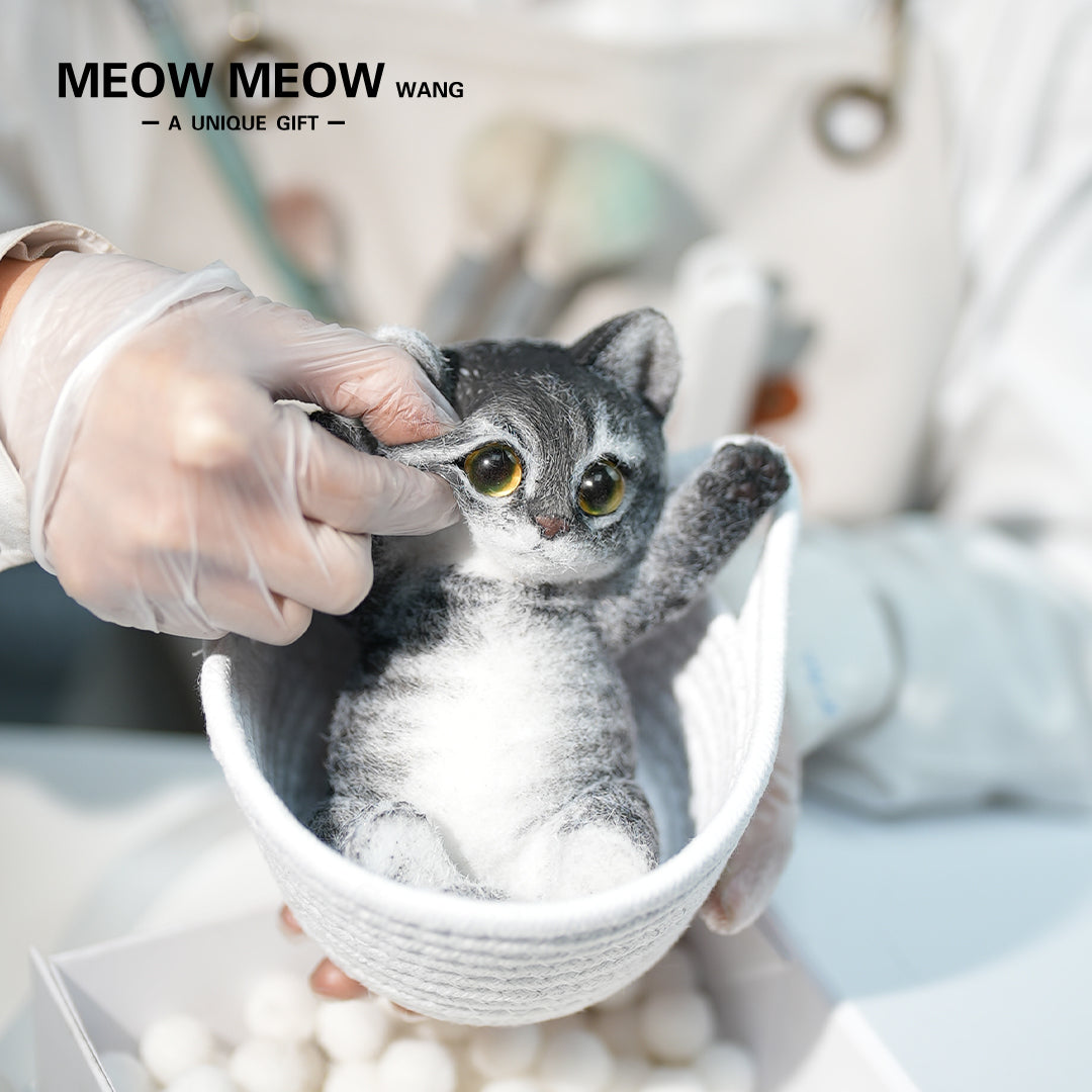 B06:Black Slim Tabby With Yellow-Green Eyes