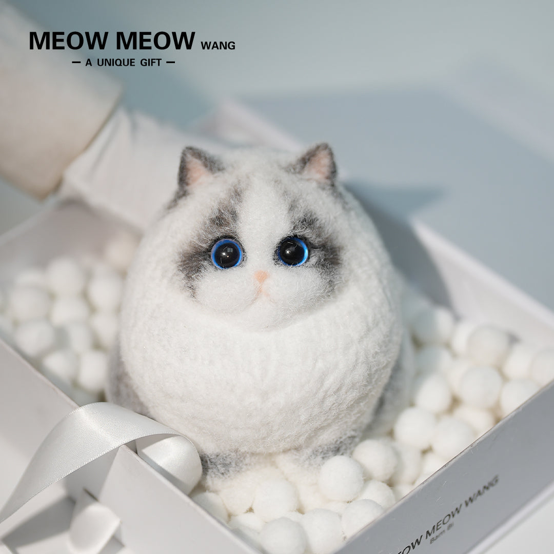 A18:Super Cute Light-Coloured Ragdoll Cat