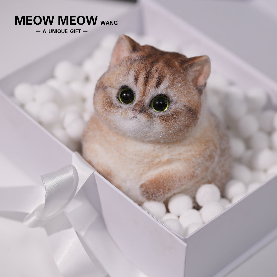 C02: Cute Chubby Squishy Kitty with Pink Ear