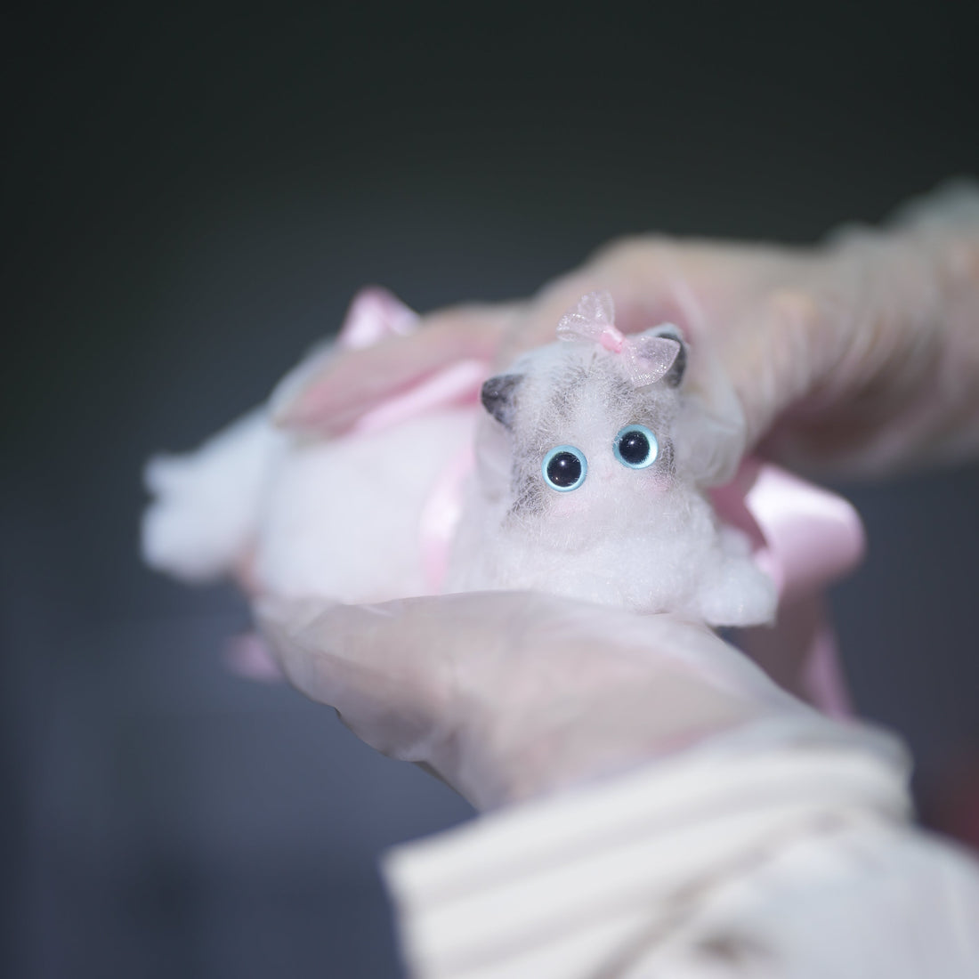E004:  New Squishy Ragdoll Kitty/ Princess Kitty