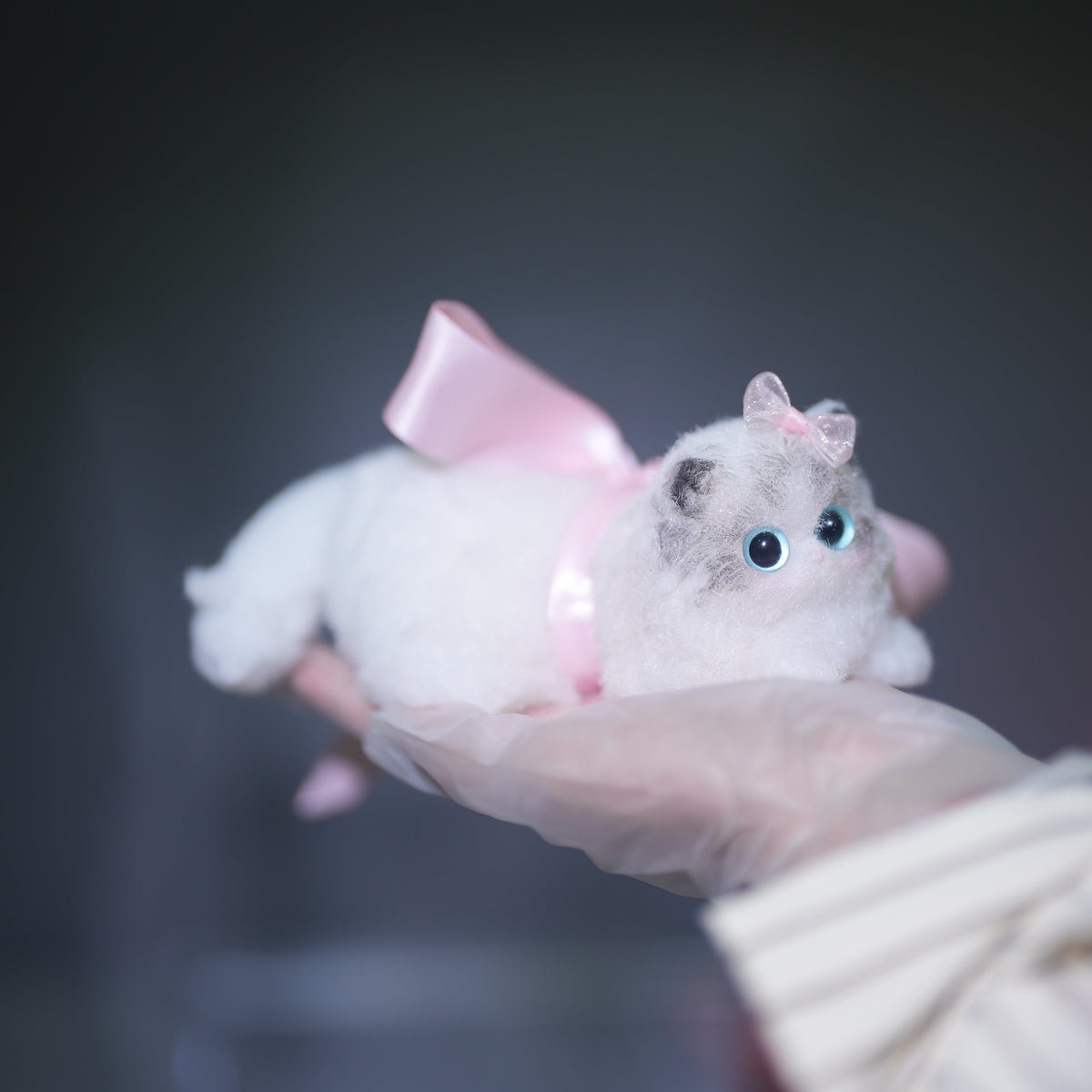 E004:  New Squishy Ragdoll Kitty/ Princess Kitty