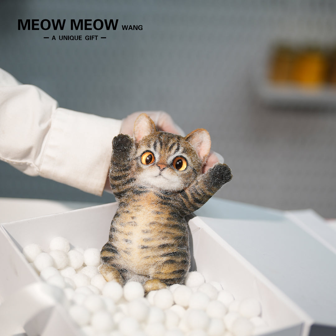B21:A Soft Yellow-Brown Tabby Kitten