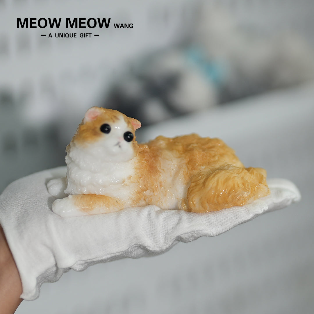 E05:Cute And Lively Orange Kitten