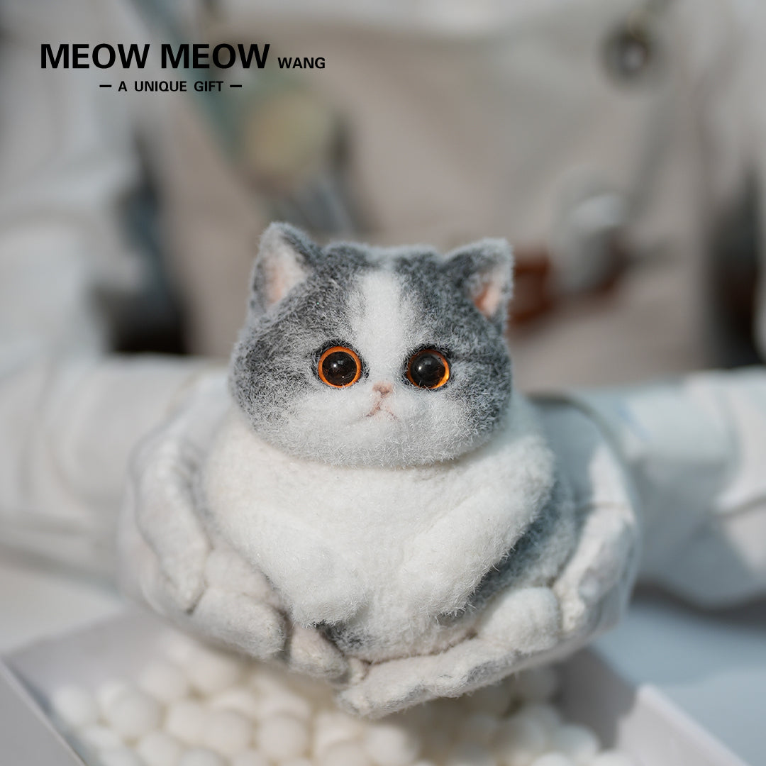 C32:Cute Blue And White Cat