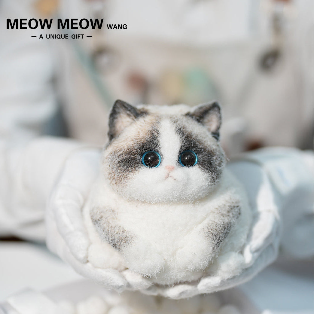 C36:Chubby Elf Ragdoll Cat