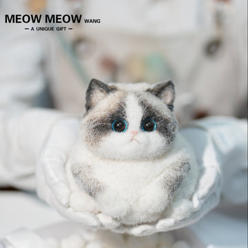 C36:Chubby Elf Ragdoll Cat