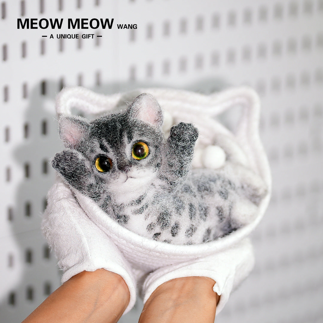 B03:Prince Gao Leng -Slim Silver Bengal Cat