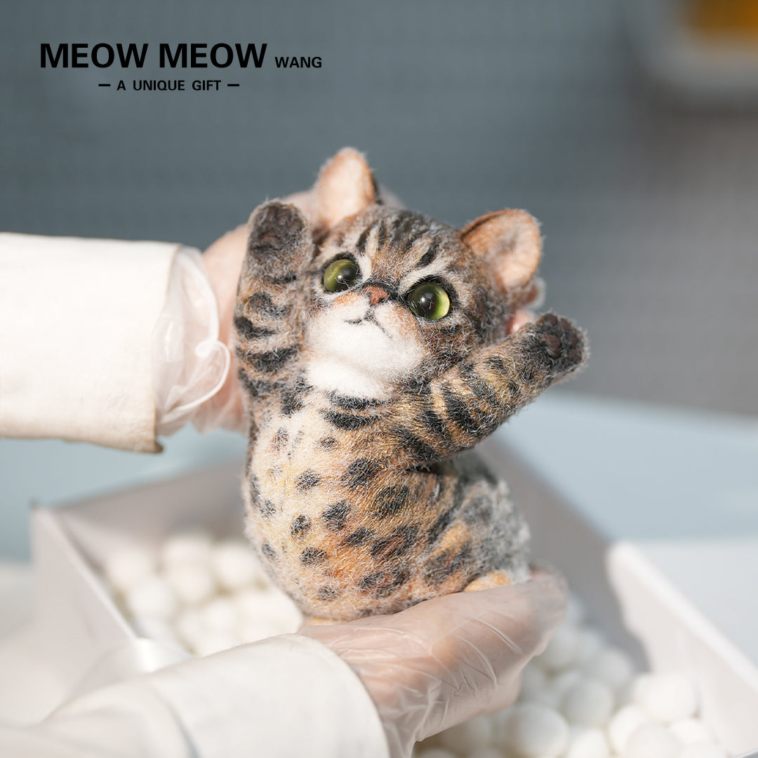 B14:A Golden Leopard Cat With A Bloated Belly