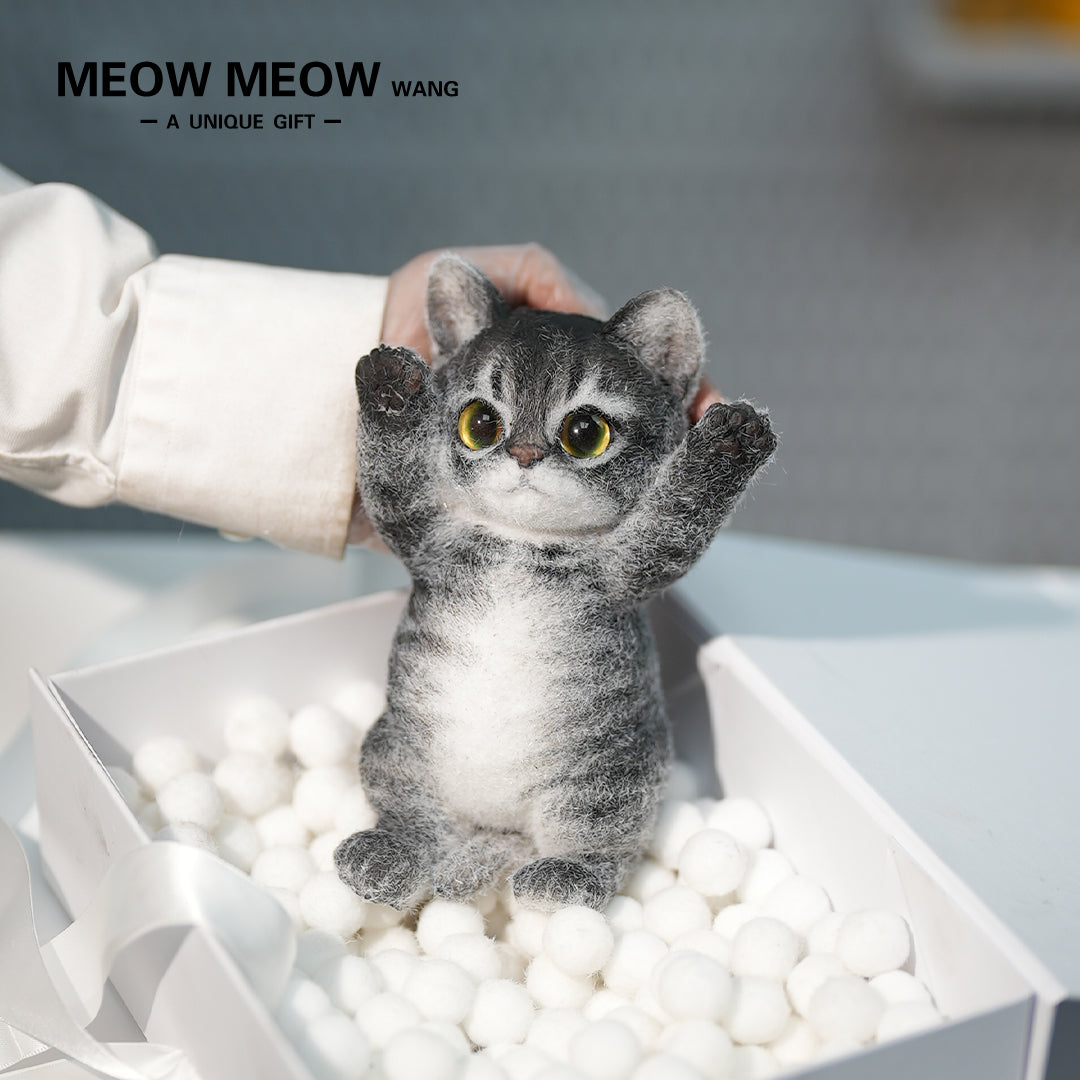 B06:Black Slim Tabby With Yellow-Green Eyes