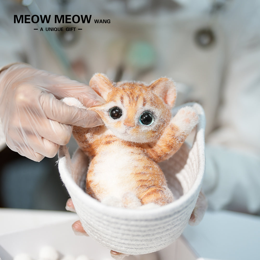 B12:Rare Blue-Eyed Ginger Cat
