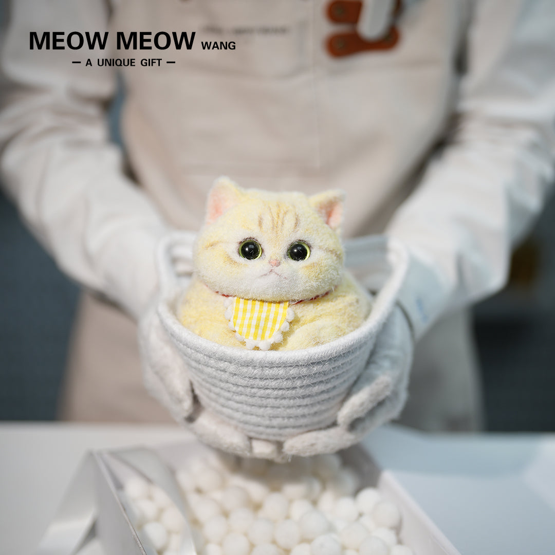 C21:A chubby, Goose-Yellow Cat
