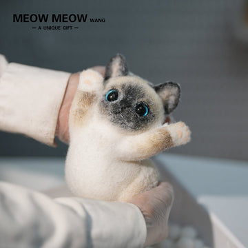 B19:Light-Coloured Siamese Kitten