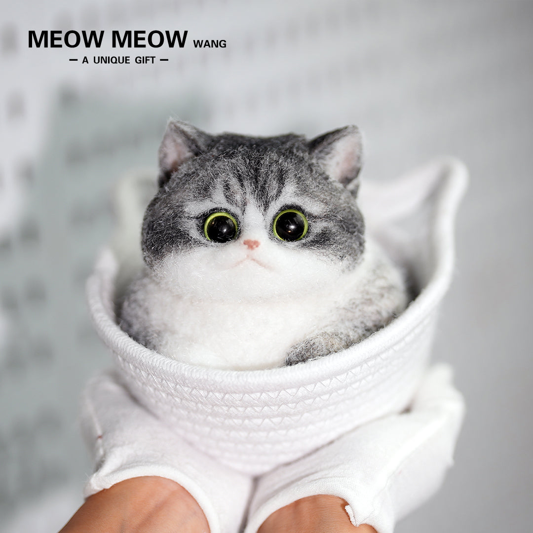 C17:Raccoon Cat With White Gloves And Green Eyes.