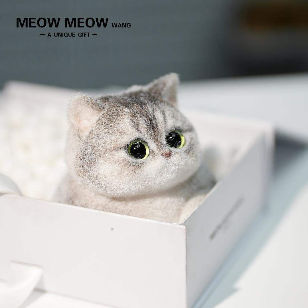 C34:Adorable Chubby Kitten In A Basket
