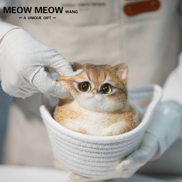 C29:A Unique Golden Shaded Tabby Cat