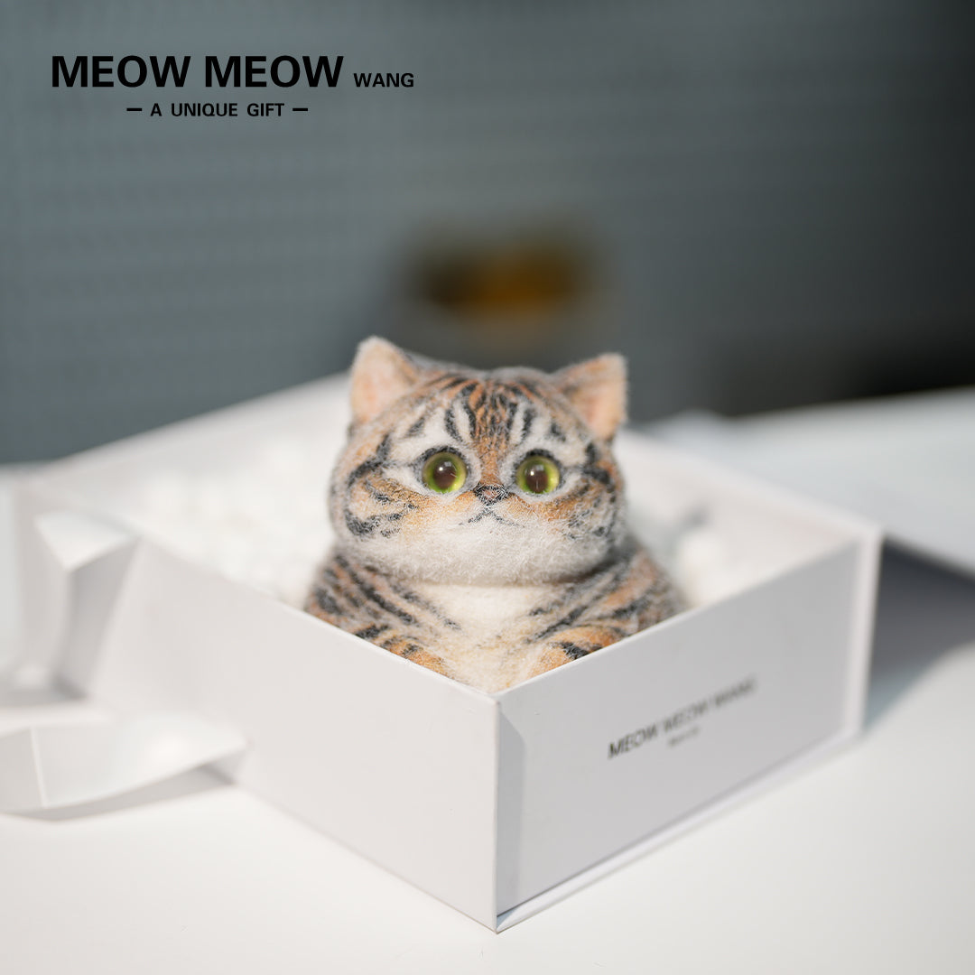C26:Chubby Little Tiger Cat