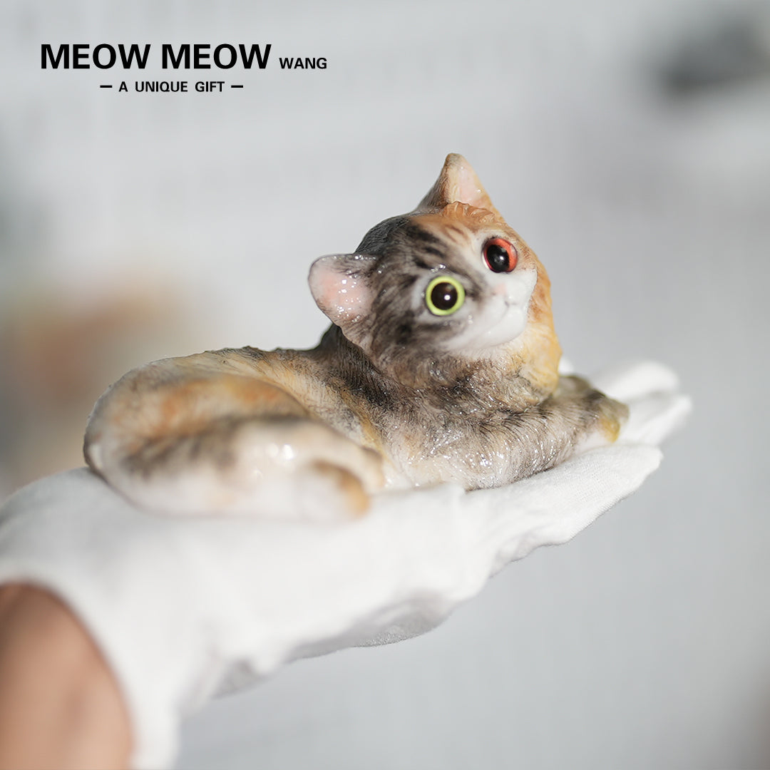 E04:Fluffy Heteromyptic Kitten