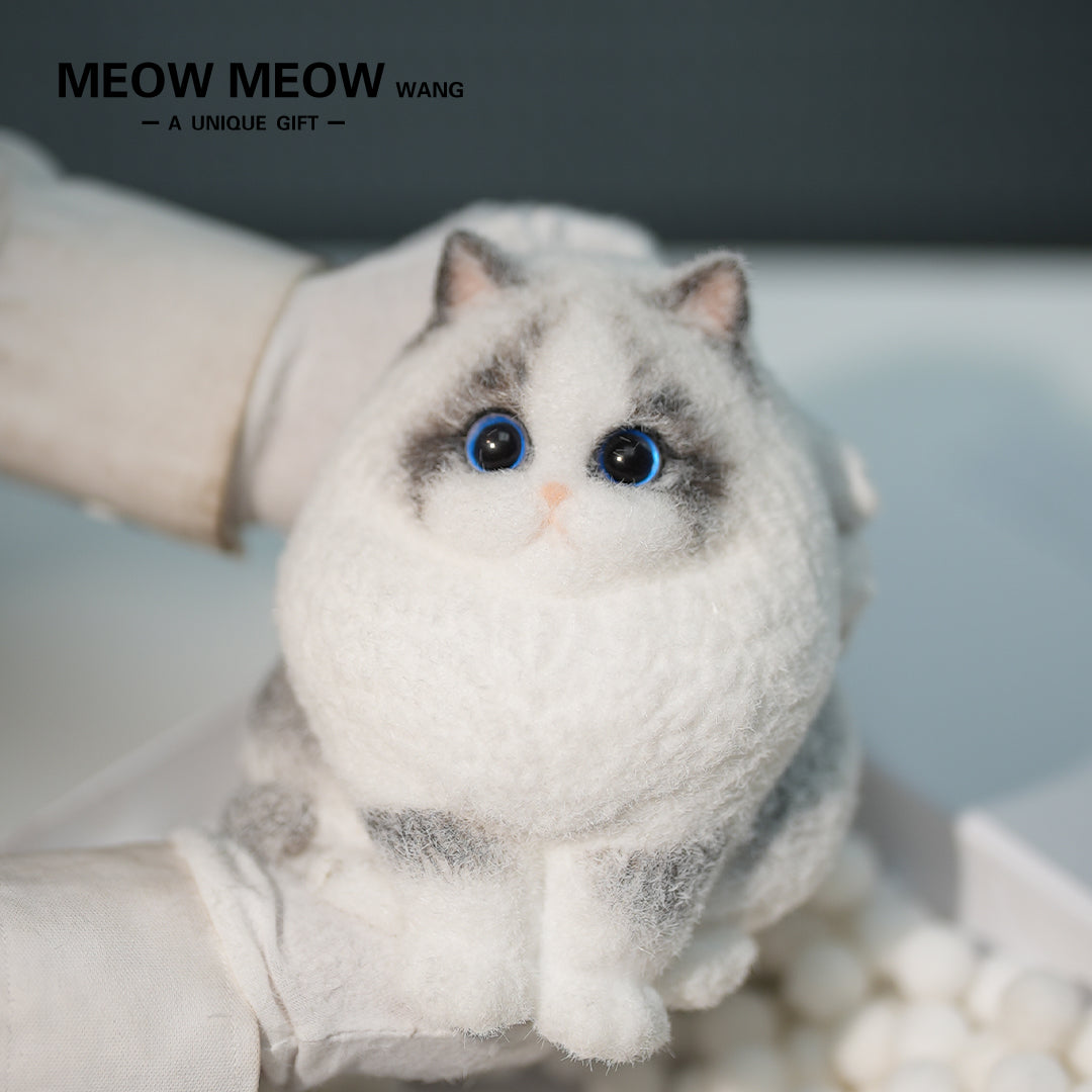 A18:Super Cute Light-Coloured Ragdoll Cat