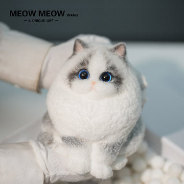A18:Super Cute Light-Coloured Ragdoll Cat