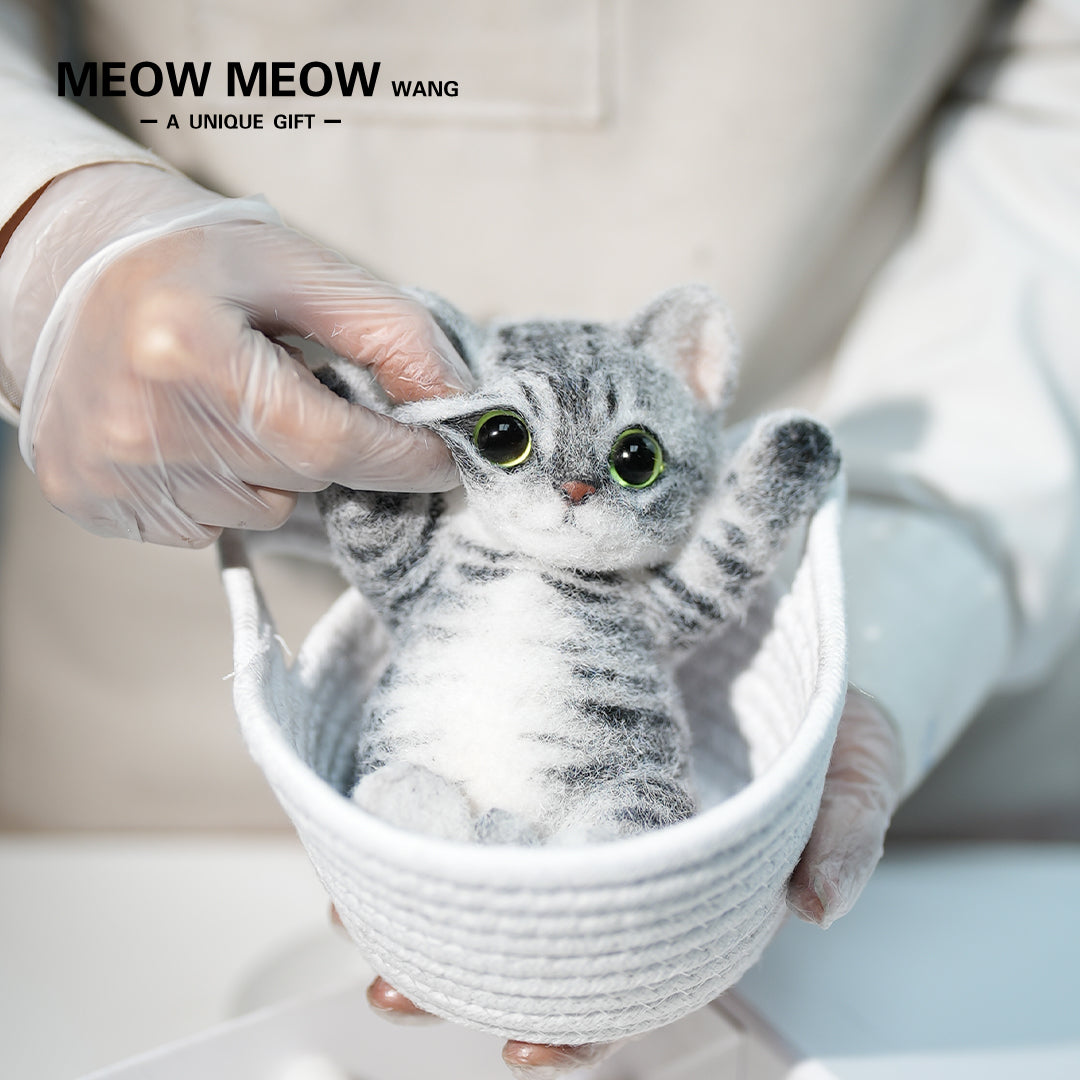 B11:A Tabby Cat With Green Eyes