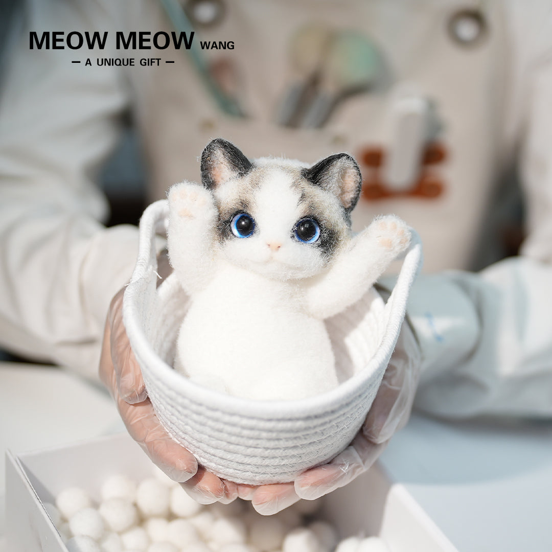 B17:Blue-Eyed Cute Doll Cat Raising Its Paw