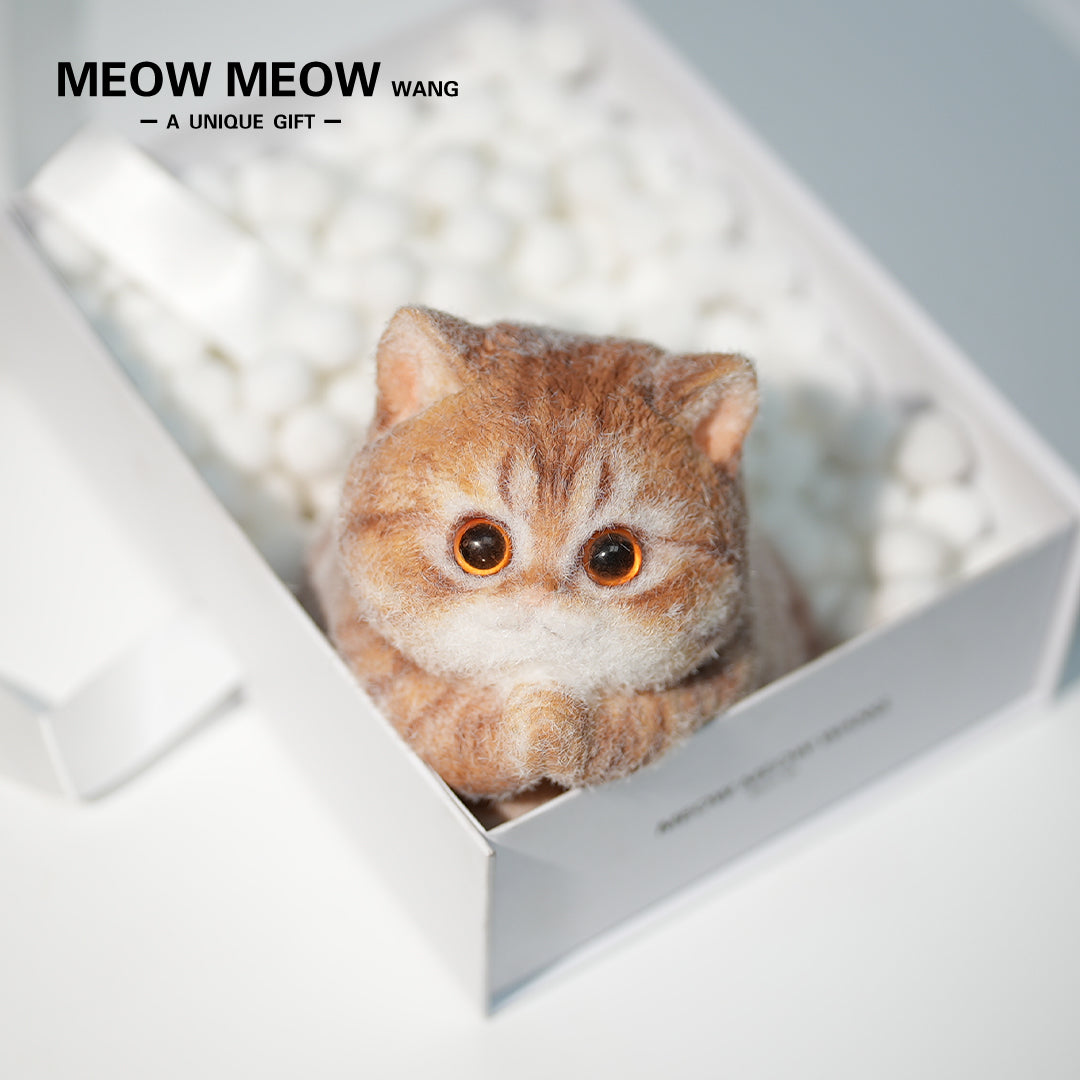 C42:Cute Wish-Granting Orange Cat