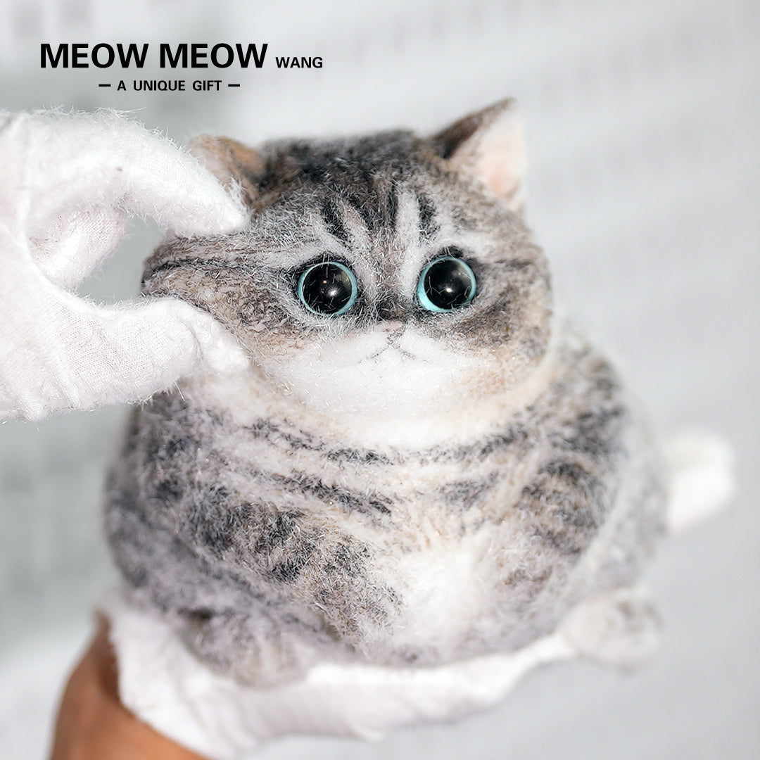C18:Cute Chubby Black Brown Tabby Cat